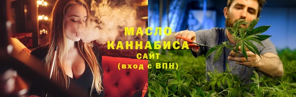 гидропоника Горняк