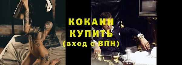 бошки Щигры