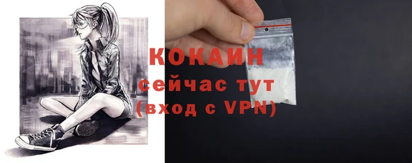 гидропоника Горняк