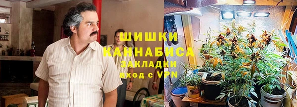 гидропоника Горняк