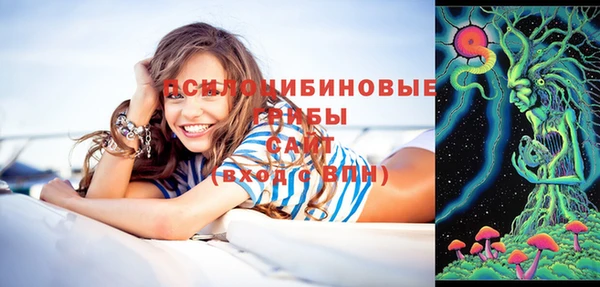 не бодяженный Горно-Алтайск