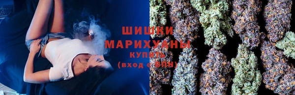 гидропоника Горняк