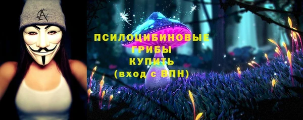 не бодяженный Горно-Алтайск