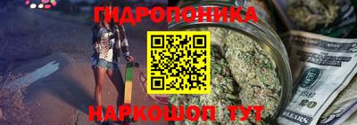 прущие грибы Абакан