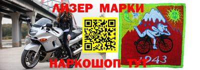 прущие грибы Абакан