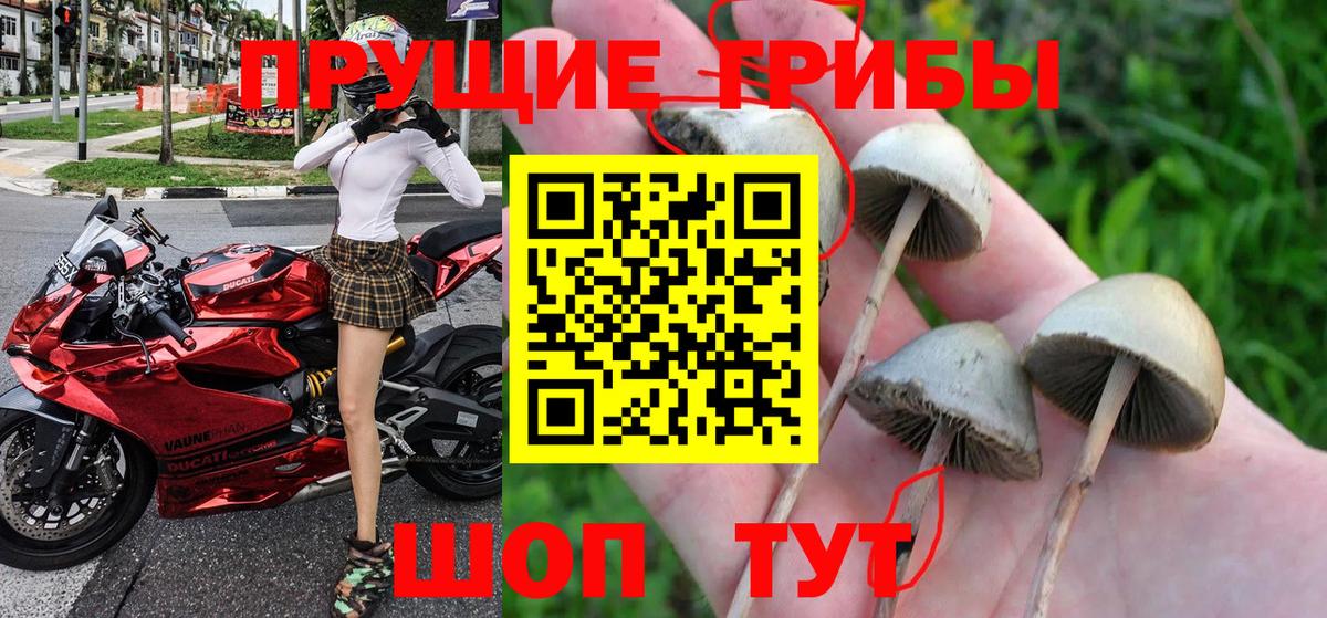 Галлюциногенные грибы ЛСД  Минеральные Воды 